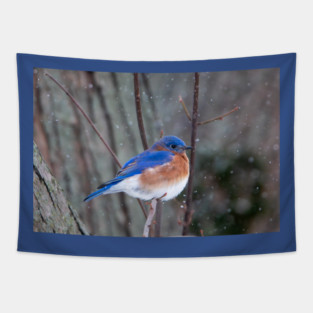 Eastern Bluebird Tapestry