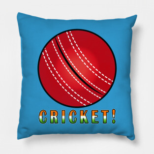 Sports Fan: Indian Cricket! Pillow