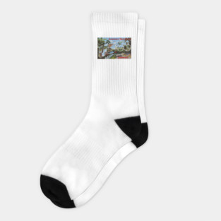 Greetings from the US Route 66 in Scenic Missouri - Vintage Large Letter Postcard Socks