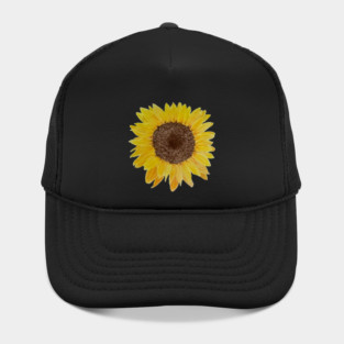 Sunflower Drawing Hat