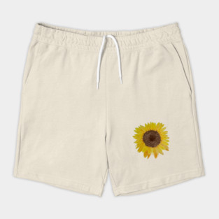 Sunflower Drawing Shorts