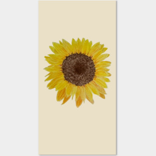 Sunflower Drawing Posters and Art