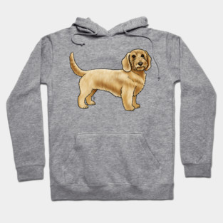 Dog - Basset Fauve de Bretagne - Fawn Hoodie