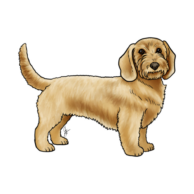 Dog - Basset Fauve de Bretagne - Fawn by Jen's Dogs Custom Gifts and Designs