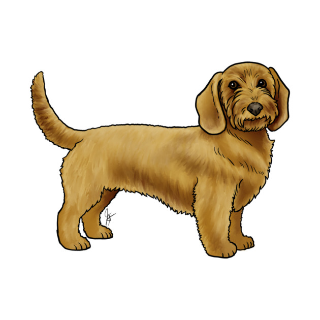Dog - Basset Fauve de Bretagne - Wheaten by Jen's Dogs Custom Gifts and Designs