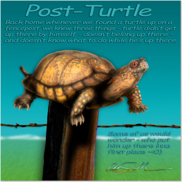 Story of the Post Turtle Post Turtle Posters and Art Prints