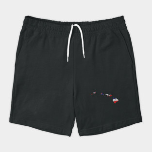 Hawaii Typo Map Shorts