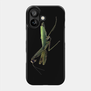 Praying Mantis Phone Case