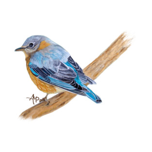 Little Bluebird T-Shirt