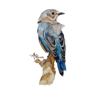 Watercolor Eastern Bluebird T-Shirt