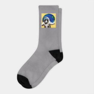 Guinea Pig Astronaut Surfing Earth Socks