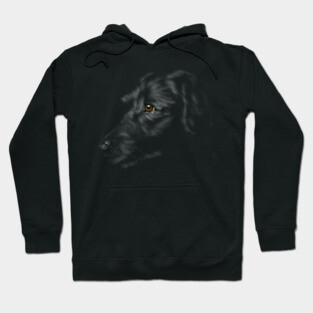 Black Lab, labrador retriever Hoodie