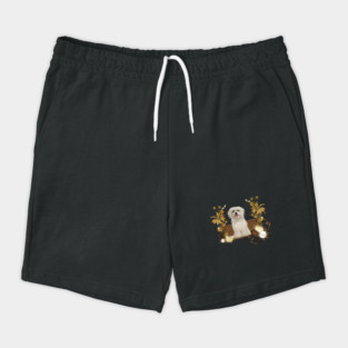 Cute maltese puppy Shorts
