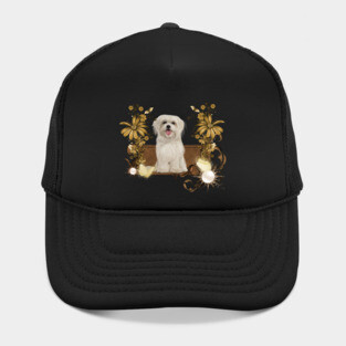Cute maltese puppy Hat