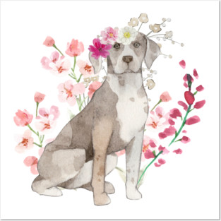 Floral Catahoula Posters and Art