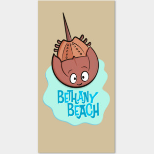 Bethany Beach Horseshoe Crab Posters and Art