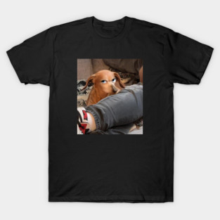 World's Best Weiner Dog Side-Eye T-Shirt