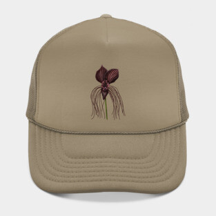 Bat Flower, Tacca chantrieri Hat