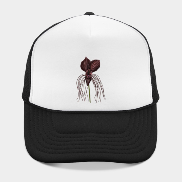 Bat Flower, Tacca chantrieri by H. R. Sinclair