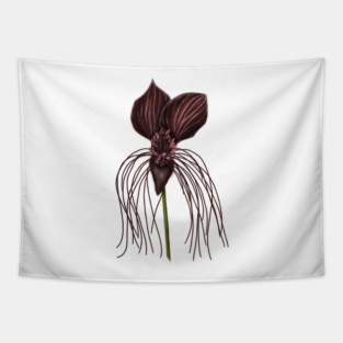 Bat Flower, Tacca chantrieri Tapestry