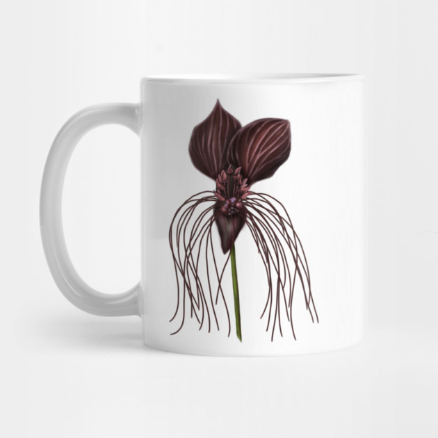 Bat Flower, Tacca chantrieri by H. R. Sinclair