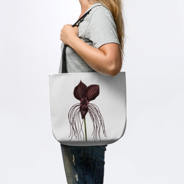 Bat Flower, Tacca chantrieri by H. R. Sinclair