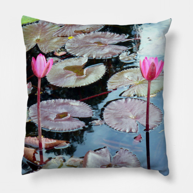 Pink Waterlilies in a Pond Pillow by H. R. Sinclair