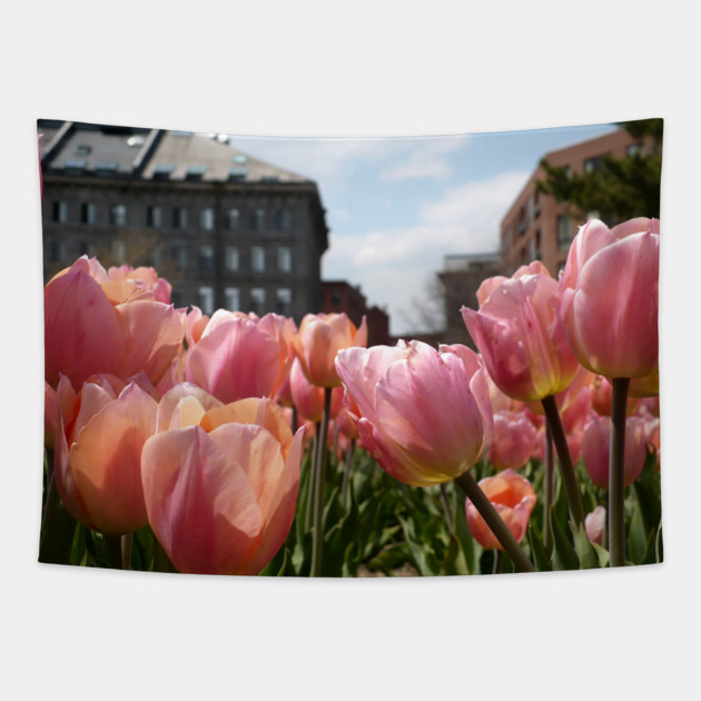 Pink Tulips in Boston Tapestry by H. R. Sinclair