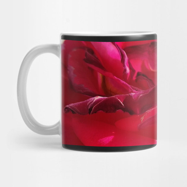 Macro Dying Red Rose by H. R. Sinclair