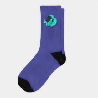 Illustrated Black and Teal Betta Fish Socks