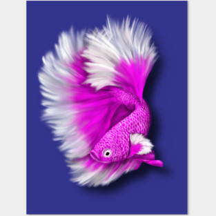 White and Hot Pink Betta Fish Posters and Art