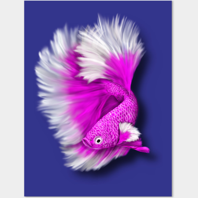 White and Hot Pink Betta Fish Wall Art by H. R. Sinclair