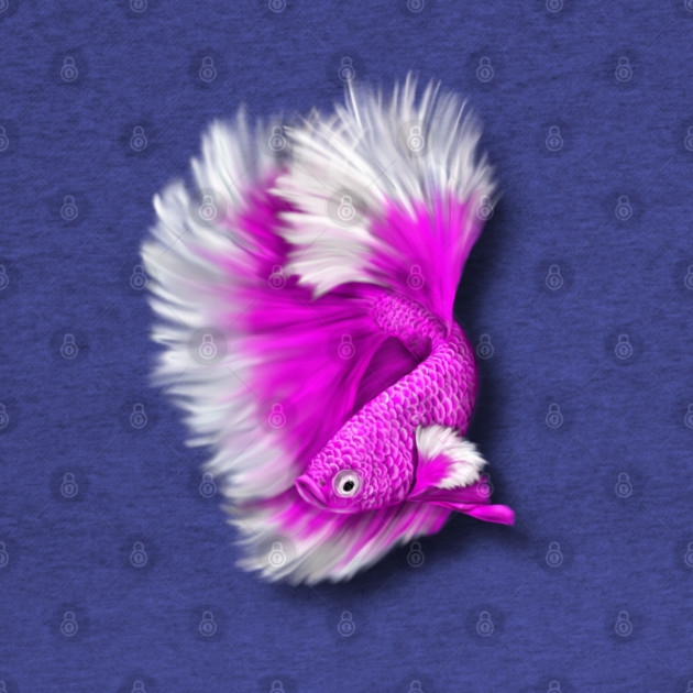 White and Hot Pink Betta Fish by H. R. Sinclair