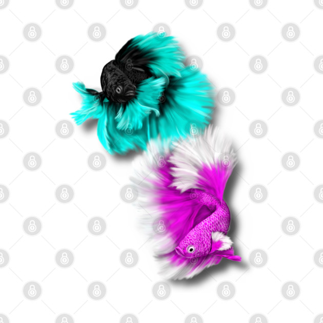 Betta Fish Duo, black & teal, white & pink by H. R. Sinclair