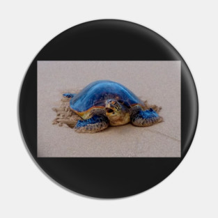 Yawning Sea Turtle Pin