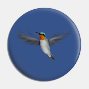 Tiny Illustrated Hummingbird Pin