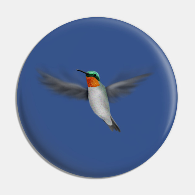 Tiny Illustrated Hummingbird Pin by H. R. Sinclair