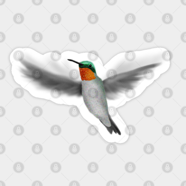 Tiny Illustrated Hummingbird Sticker by H. R. Sinclair