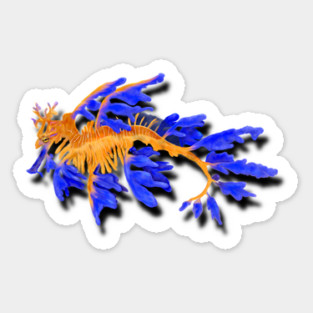 Illustrated Gold & Blue Leafy Seadragon Sticker