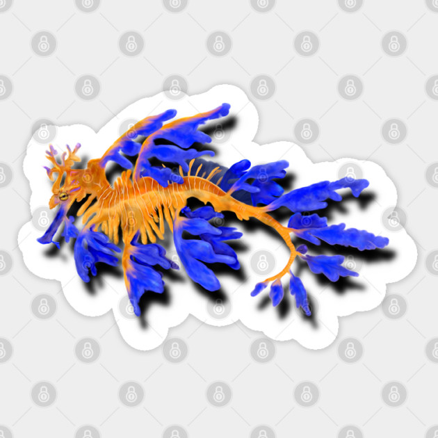 Illustrated Gold & Blue Leafy Seadragon Sticker by H. R. Sinclair
