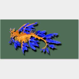 Illustrated Gold & Blue Leafy Seadragon Posters and Art