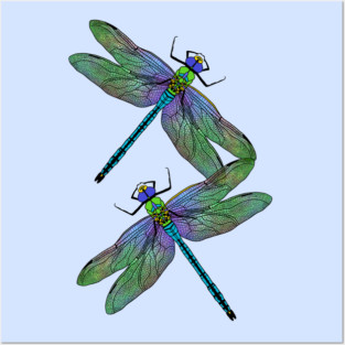 Emperor Dragonflies Digital Art Posters and Art