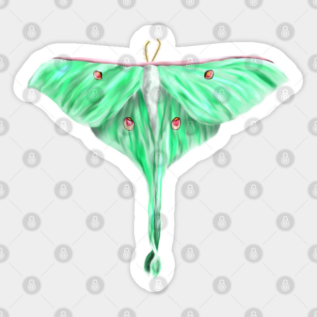 Green Lunar Moth Digital Art Sticker by H. R. Sinclair