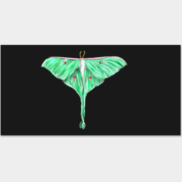 Green Lunar Moth Digital Art Wall Art by H. R. Sinclair