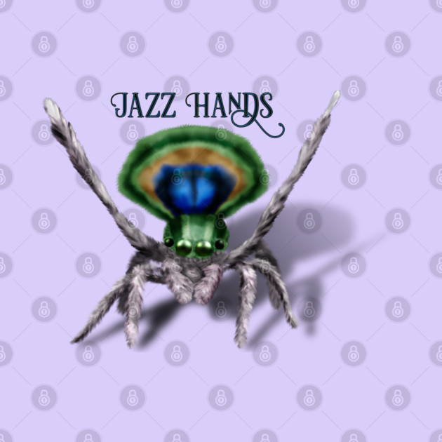 Cute Peacock Spider Digital Art by H. R. Sinclair