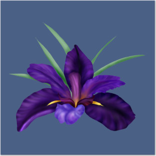 Deep Purple Bog Water Iris  Art Posters and Art