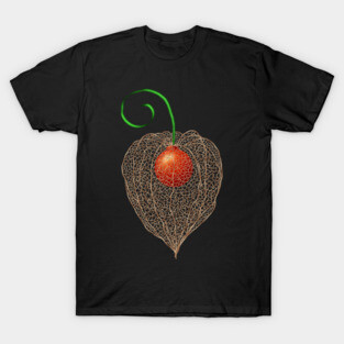 Delicate Chinese Lantern Fruit Art T-Shirt