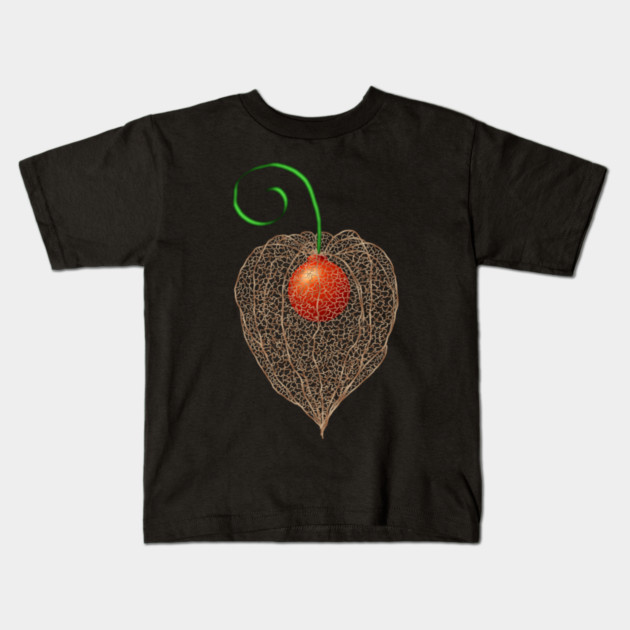 Delicate Chinese Lantern Fruit Art Kids T-Shirt by H. R. Sinclair