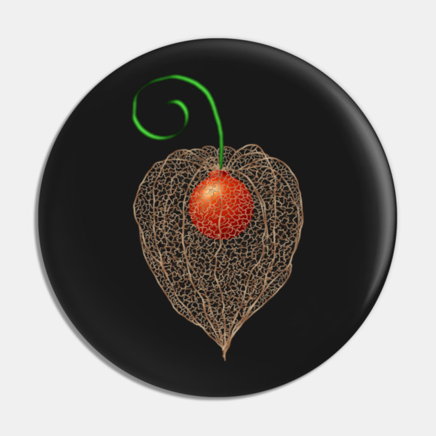 Delicate Chinese Lantern Fruit Art Pin by H. R. Sinclair