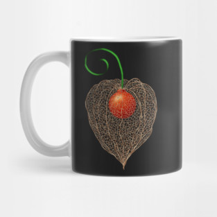 Delicate Chinese Lantern Fruit Art Mug
